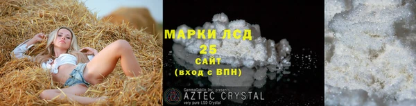 спиды Нефтекумск