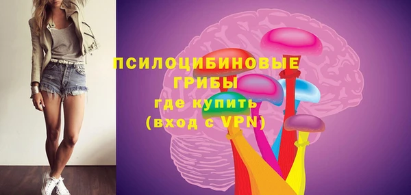 прущие грибы Нефтегорск