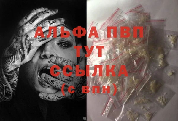 прущие грибы Нефтегорск