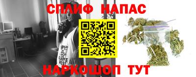 PSILOCYBIN Будённовск