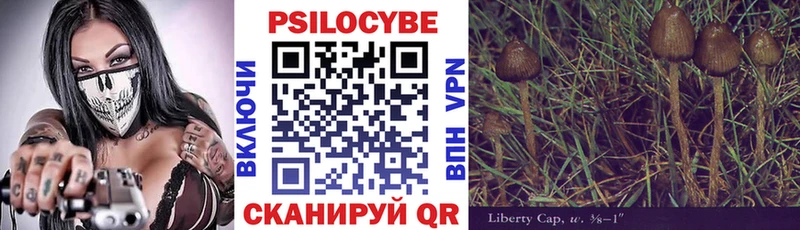 Галлюциногенные грибы GOLDEN TEACHER  сколько стоит  omg сайт  Кольчугино 
