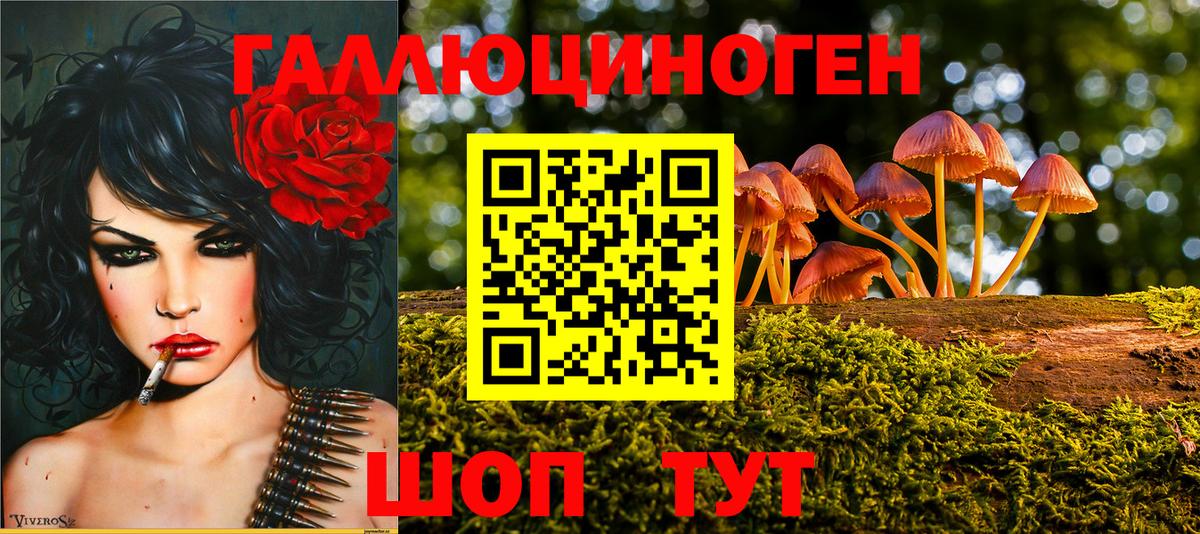 Галлюциногенные грибы GOLDEN TEACHER  Галлюциногенные грибы Psilocybe  Кольчугино 