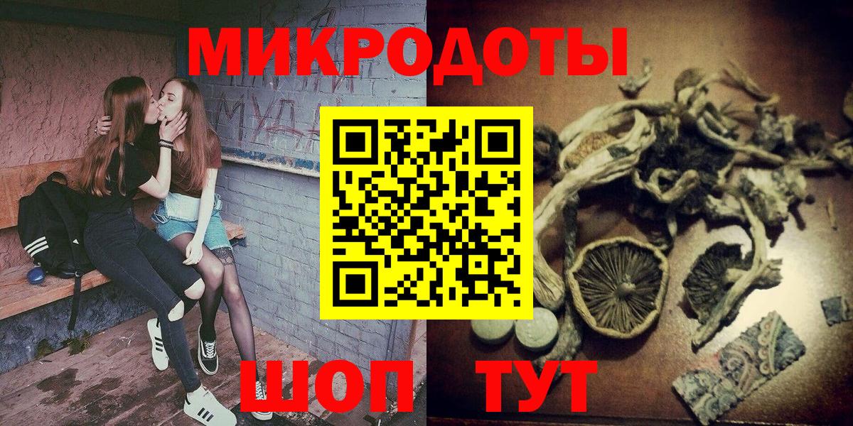 Галлюциногенные грибы Psilocybine cubensis Кольчугино